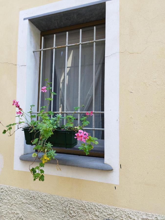 Nido Al Mare Apartment Bonassola Exterior photo